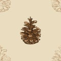 Pine cone seamless pattern.