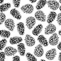 Pine cone seamless pattern. Hand drawn vector illustration. Engraved coniferous winter cones. Christmas, Xmas, New Year