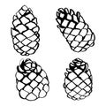 Pine cone set hand drawn vector illustration Royalty Free Stock Photo