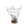 Pine cone splash on water, isolated on white background Royalty Free Stock Photo