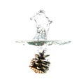 Pine cone splash on water, isolated on white background Royalty Free Stock Photo