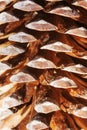 Pine cone structure Royalty Free Stock Photo