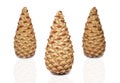 Pine-cone on a white background Royalty Free Stock Photo