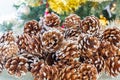 Cluster of decorative pine cones flecked with white