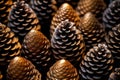 Pine cones background. Close-up of pine cones texture. Generative AI Royalty Free Stock Photo