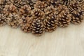 pine cones background Royalty Free Stock Photo