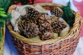 Pine cones in a basket. Christmas Decor