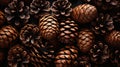 Pine cones on black background. Top view with copy space .