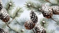 pine cones on a branch