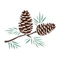 Pine cones branch silhouette color