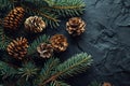 pine cones and branches on a black surface