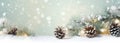 Pine Cones, Branches, and a Snowy Surface: Header for a Soft Mem
