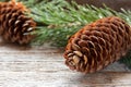 Pine cones and branches on wooden background Christmas background Copy space selective focus. Royalty Free Stock Photo
