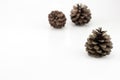 Pine cones group close up photograph on clear white background