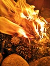 Pine cones burning in the fire. Firewood and pine cones burn in the fire. Royalty Free Stock Photo