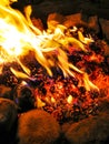 Pine cones burning in the fire. Firewood and pine cones burn in the fire. Royalty Free Stock Photo