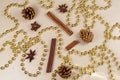 Pine cones, cinnamon sticks, star anise and pearl tinsel Royalty Free Stock Photo