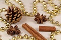 Pine cones, cinnamon sticks, star anise and pearl tinsel Royalty Free Stock Photo