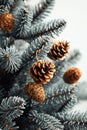 Pine cones close up on a tree. Perfect for nature and outdoor-related projects Royalty Free Stock Photo