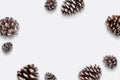 Pine cones composition with copy space in the middle