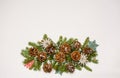 Pine cones festive background with fir branch Royalty Free Stock Photo