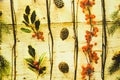 Pine cones fir branches and red fruits with leaves drown on wooden background