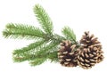 Pine cones and green fir tree branch isolated on white background. Christmas decoration Royalty Free Stock Photo