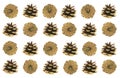 Pine cones