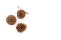 Three pine cones isolated on a white background Royalty Free Stock Photo