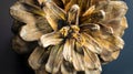 Pine cones macro view, super detail photography