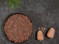 Pine cones and nuts in a frying pan on a dark background with space for copying Royalty Free Stock Photo