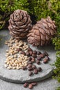 Pine cones and nuts on a gray concrete background. Vertical frame Royalty Free Stock Photo