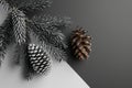 pine cones and pinecones on a branch