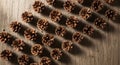 Pine cones scattered across a rustic Royalty Free Stock Photo