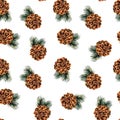 Pine cones seamless pattern on a white background. Royalty Free Stock Photo