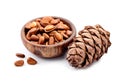 Pine cones and pine seed nuts Royalty Free Stock Photo