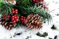 Pine Cones In Snow