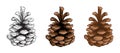 Pine cones vector set. Different hand drawn sketch styles. Botanical drawing. Winter holidays, Christmas symbols. Royalty Free Stock Photo