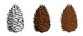 Pine Cones Vector Set. Different Hand Drawn Sketch Styles. Botanical Drawing. Winter Holidays, Christmas Symbols.