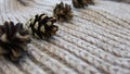 Pine cones on a warm scarf Royalty Free Stock Photo