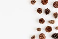 Pine cones on a white table. Flat lay with blank copy space Royalty Free Stock Photo