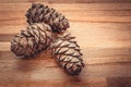 Pine cones on a wooden background