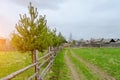 Pine country landscape and fence rural road in green field. Royalty Free Stock Photo