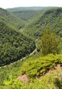 Pine Creek Gorge