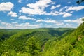 Pine Creek Gorge, the Grand Canyon of Pennsylvania. Royalty Free Stock Photo