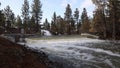 Pine Creek weir and spring flow