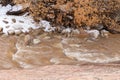 Pine creek in Zion Nat. park, Utah with snow rushing water and maple trees Royalty Free Stock Photo