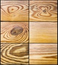 Pine decor Royalty Free Stock Photo
