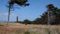Pine deformed by the wind and a lighthouse in the background on the Baltic Sea in Germany Royalty Free Stock Photo