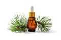 Pine essential oil bottle isolated on white Royalty Free Stock Photo